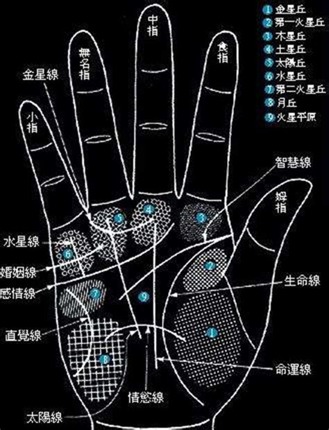 左手食指突然長痣|手掌有痣图解大全 痣在手上的位置所代表的意义